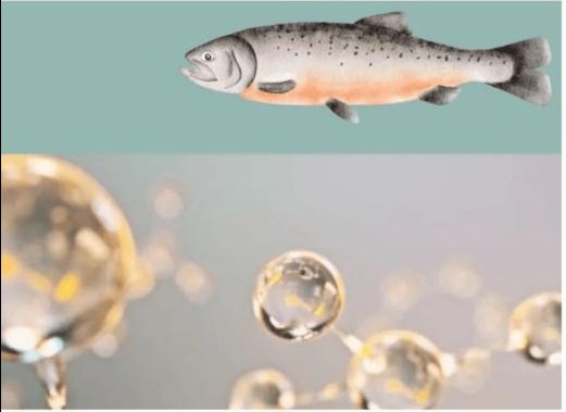 Salmon DNA & 24K Gold Luxury